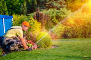 How Can Expert Irrigation Services Tailor Solutions to Meet Your Landscape’s Unique Needs?