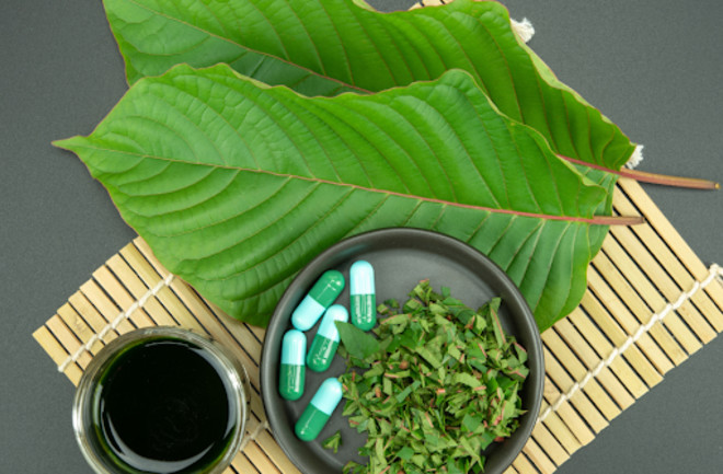 Unveiling Fascinating Insights: Exploring the Kratom World